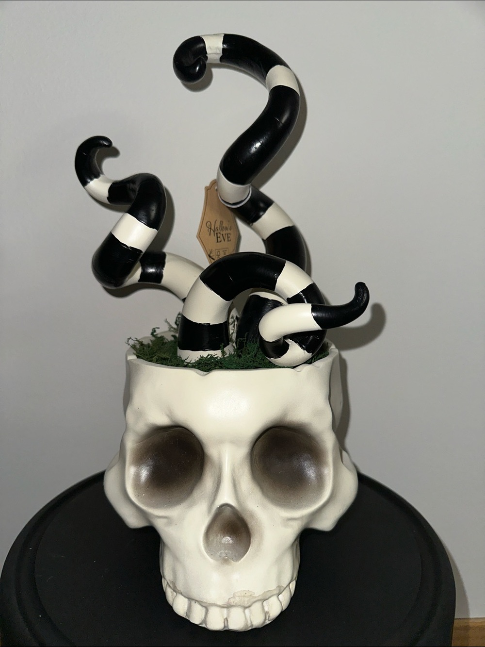Black & White Striped Tentacle Skull Planter - Home Art